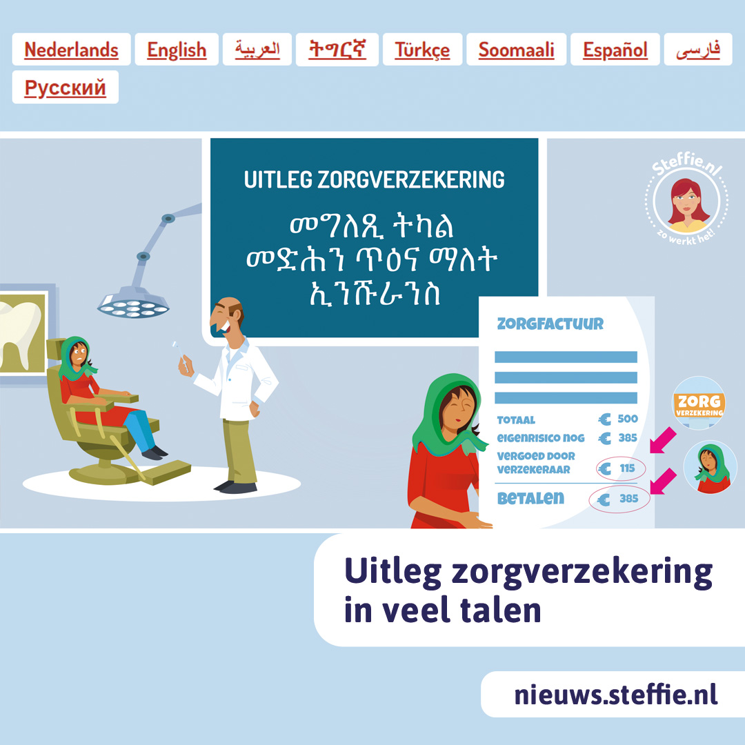 Hoe werkt de zorgverzekering?