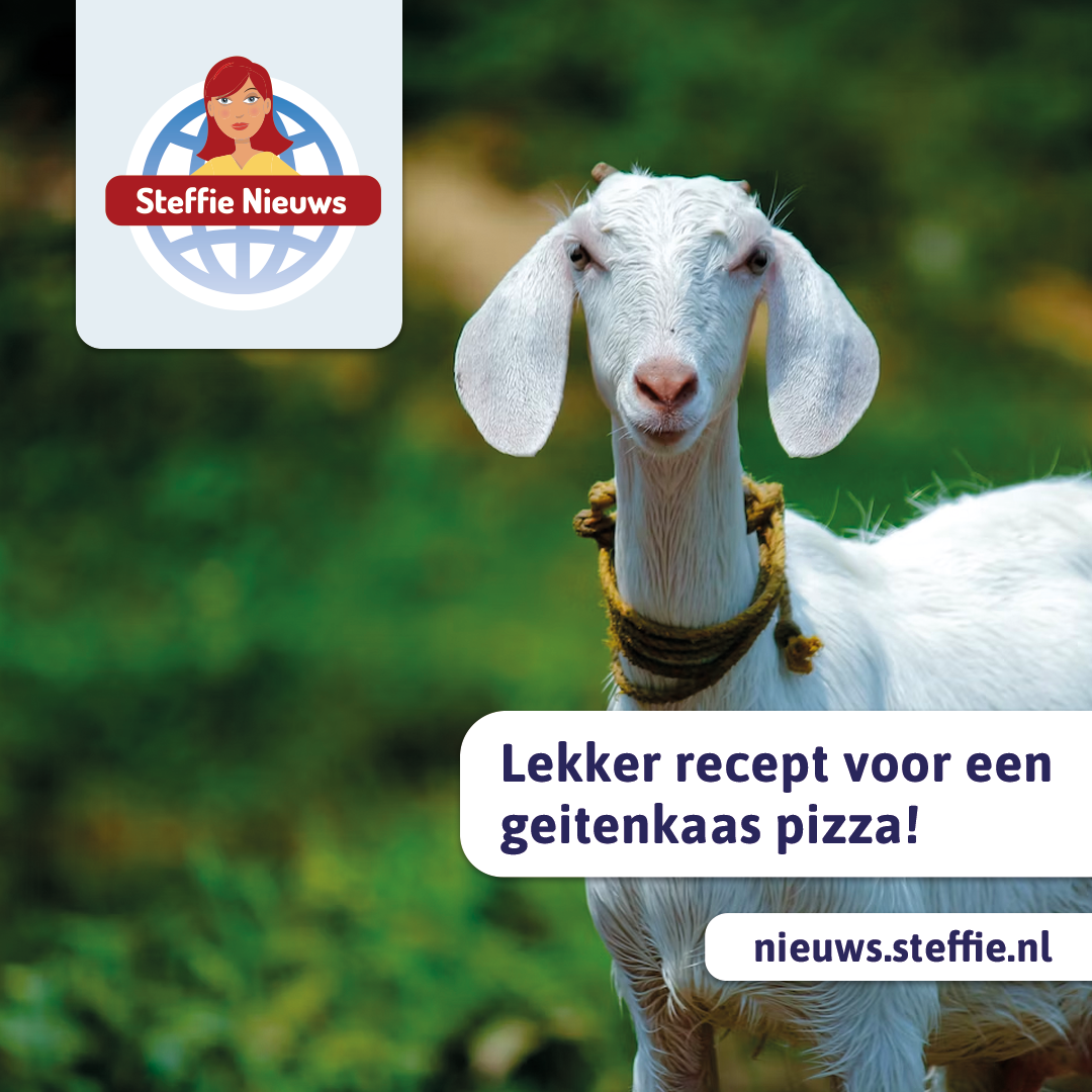 Hoe maak je een pizza met geitenkaas?